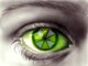 A pic edited in PS CS3