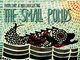 Caitlin Cary & Matt Douglas Are The Small Ponds
