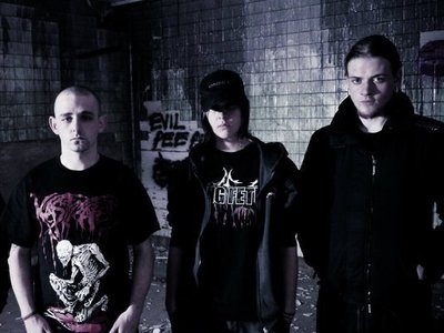 Cerebral bore photo