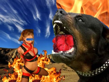 Perros