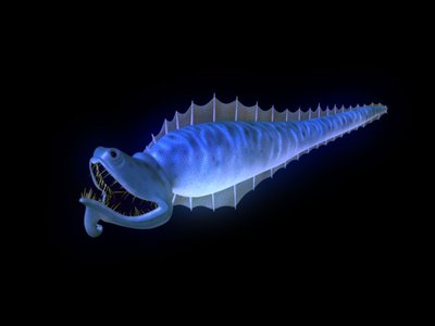 Eel Test - Muerta