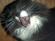 this is me before coffee