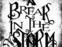 A BREAK IN THE STORM photo
