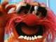 Animal - The Mascot
