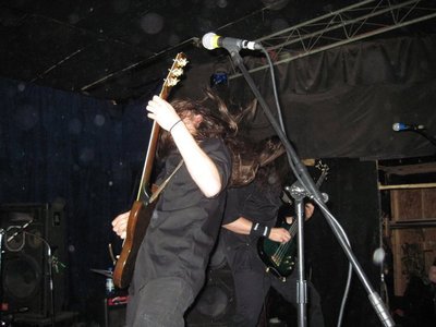 The Reticent photo