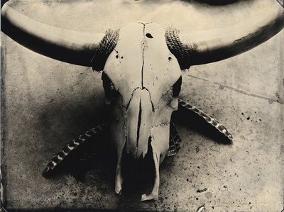 Hell to Texas photo