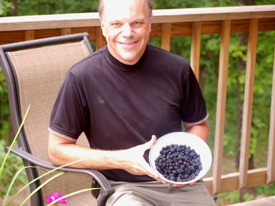 Summery Blackberries
