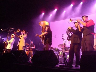 Gato Loco photo