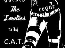 Rogue photo
