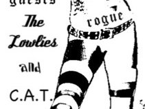 Rogue photo