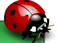 Lady C Logo