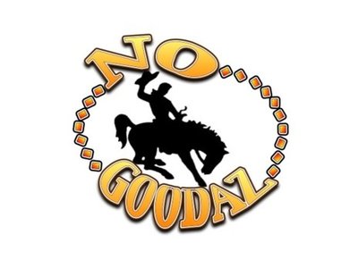 NG Logo 2