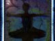 The Black Swan