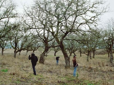 "Tales of the Left Coast Roasters" LP cover, photo by Missy Prince.