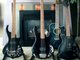 My Guitars