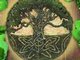 Tree of Life