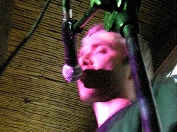 vein cat photo