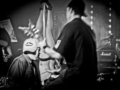 The Chimpz photo