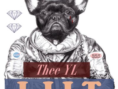 Thee YL photo
