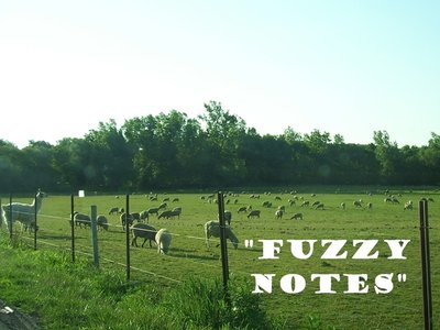 Fuzzy Notes