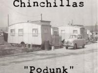 The Chinchillas photo