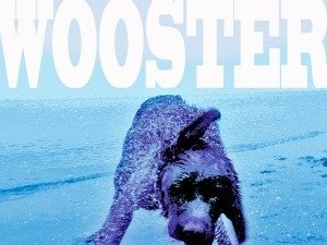 Wooster photo