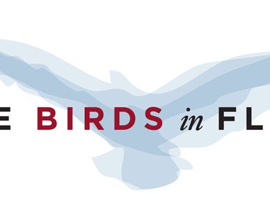 Rare Birds in Flight photo