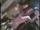 ~!~Me and Bre~!~