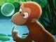 Cheeky monkey