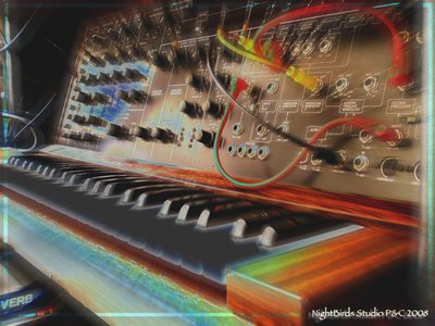 NightBirds photo