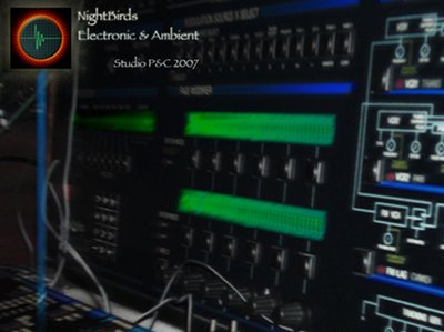 NightBirds photo