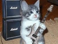 Here Kitty Kitty!