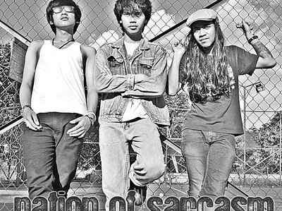 [N].[O].[S] Nation Of Sarcasm photo