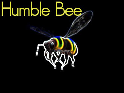 Humble Bee photo