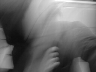 NightBirds photo