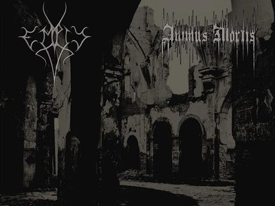 split animus / empty