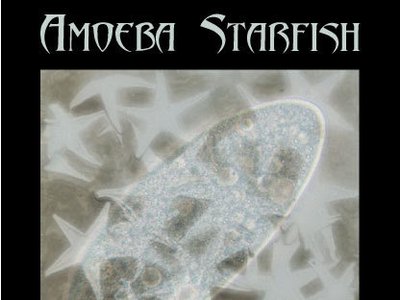 Starfish poster