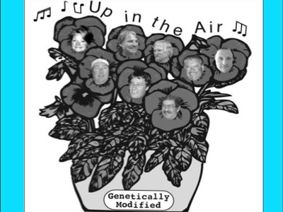 Up in the Air Band photo