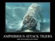 ATTACK TIGERS