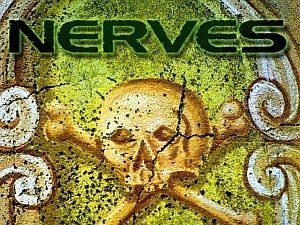 THE NERVES - Bluff (album 2009)