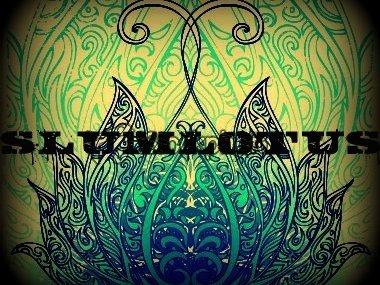 Slum Lotus photo