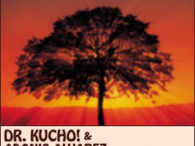 Dr. Kucho! photo