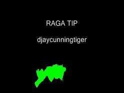 djaycunningtiger photo