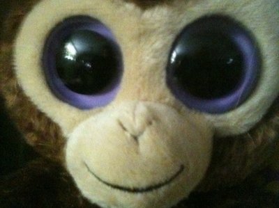 The 7th Year - Space Monkey!