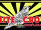 White Crow Entertainment (design by: Mark Zewe)