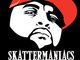 Skatterman Street team