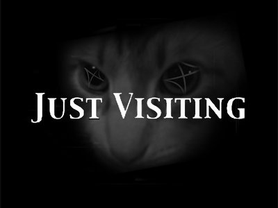 Just Visiting photo