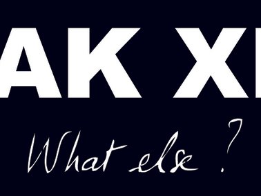 BAK XIII