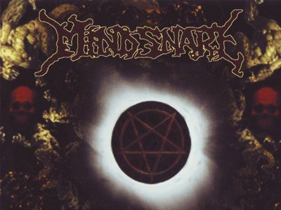 MindSnare photo