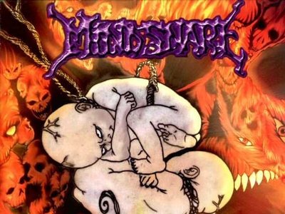 MindSnare photo